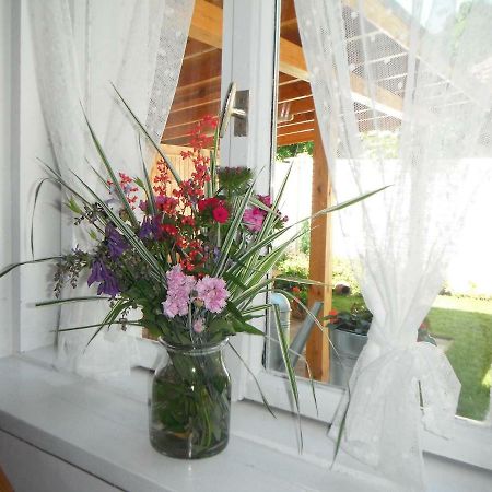 Villa Ani Gorna Kovachitsa Extérieur photo