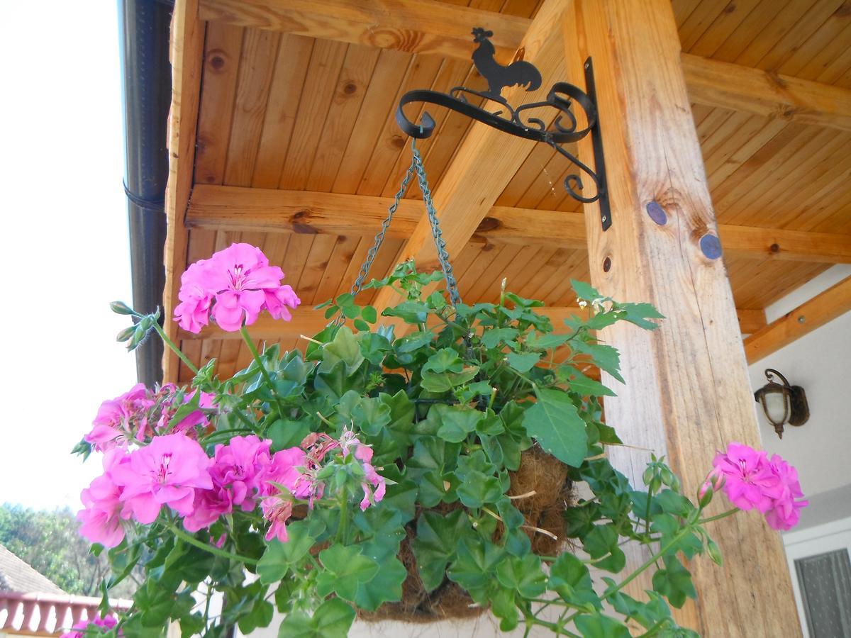 Villa Ani Gorna Kovachitsa Extérieur photo