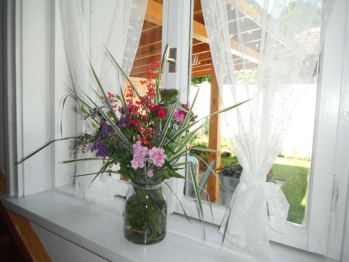 Villa Ani Gorna Kovachitsa Extérieur photo